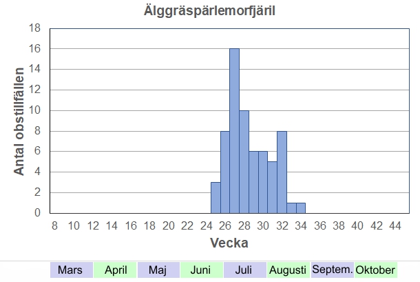 Antal observationstillfällen (inte individer) 2012-2017 fördelade på veckonummer. Flyger från midsommar och en bra bit in i augusti, ofta tillsammans med ängspärlemorfjäril. Flest brukar de vara andra halvan av juli.