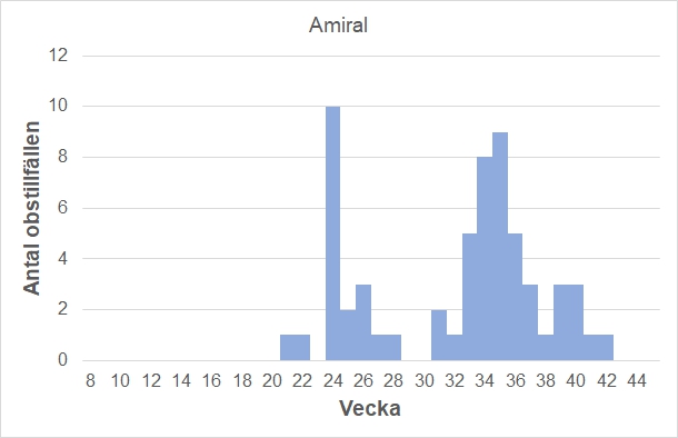 Antal observationstillfällen (inte individer) 2012-2017 fördelade på veckonummer. De första amiralerna brukar anlända från kontinenten i början av maj, och det stora inflödet sammanfaller ofta med att syrenerna blommar. Under varma somrar och höstar kan den nya generationen bli ganska stor.