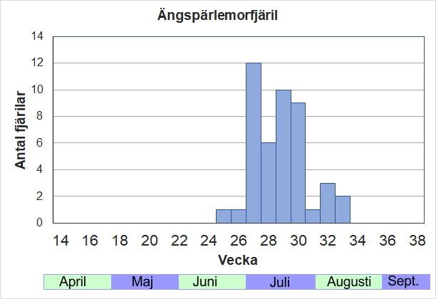 Antal individer vid inventeringar längs Listrevägen och Stormossevägen 2013-2017 fördelade på veckonummer. Ses ofta i juli, snabbt flygande över gräsmarker i jakt på honor.