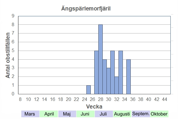 Antal observationstillfällen (inte individer) 2012-2017 fördelade på veckonummer. De första fjärilarna kan dyka upp kring midsommar, men högsäsongen är definitivt juli och första halvan av augusti, dvs när deras älskade tistlar blommar som bäst