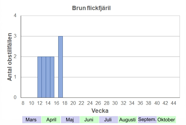 Antal observationstillfällen (inte individer) 2012-2017 fördelade på veckonummer. En av de tidigaste fjärilarna, ses sällan senare än april. 