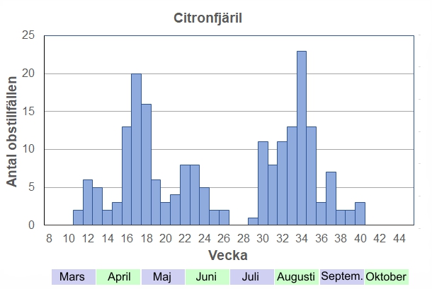 Antal observationstillfällen (inte individer) 2012-2017 fördelade på veckonummer. Välkänd tidig vårfjäril, men de kan flyga ända fram till midsommar. Under sensommaren kläcks den nya generationen, som ska övervintra till nästa vår.