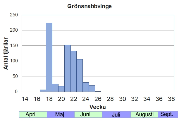 Antal individer vid inventeringar längs Listrevägen och Stormossevägen 2013-2017 fördelade på veckonummer. En vår/försommarart som förekommer i stort antal i skogsmiljö med blåbär, odon och lingon.