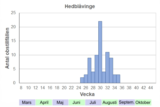 Antal observationstillfällen (inte individer) 2012-2017 fördelade på veckonummer av trolig hedblåvinge. De första dyker upp kring midsommar, men flyger under hela juli och augusti, och enstaka exemplar ses under september.