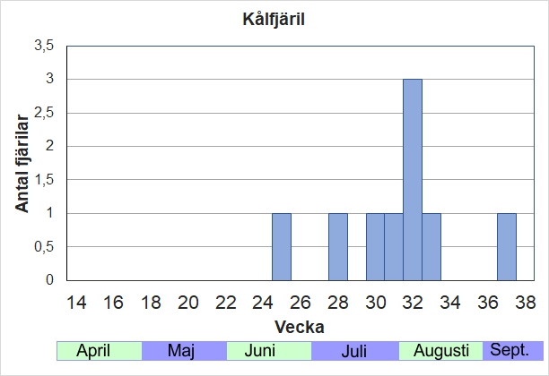 Antal individer vid inventeringar längs Listrevägen och Stormossevägen 2013-2017 fördelade på veckonummer. Aldrig särskilt vanliga här, och har aldrig sett någon av första generationen under vår-försommar.