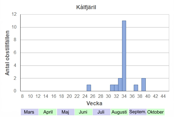 Antal observationstillfällen (inte individer) 2012-2017 fördelade på veckonummer. Få eller inga kålfjärilar verkar övervintra här. Istället kommer antagligen ett antal migrerande t ex från Östergötland på våren, och ger upphov till en sensommargeneration. Antalet kålfjärilar varierar med om lämpliga jordbruksgrödor eller -ogräs finns i trakten.