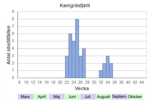 Antal observationstillfällen (inte individer) 2012-2017 fördelade på veckonummer. Inte så vanlig som pärlgräsfjäril här, men enstaka ex dyker upp under nästan hela sommaren. Antalet varierar med om och när gräsmarkerna slås.