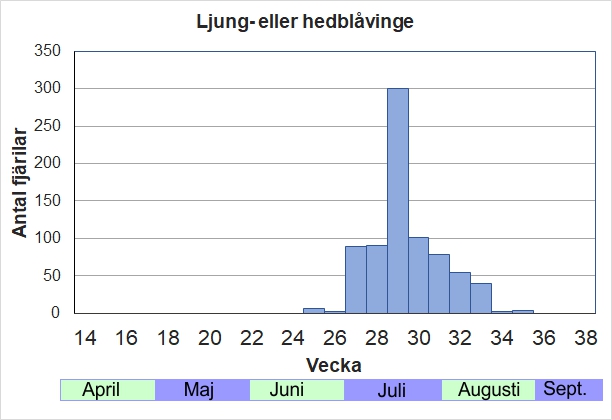 Antal individer vid inventeringar längs Listrevägen och Stormossevägen 2013-2017 fördelade på veckonummer. OBS både Hed- och Ljungblåvinge. Otroligt vanliga i skogsmiljö under mitten-slutet av juli. 