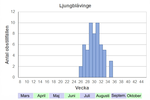 Antal observationstillfällen (inte individer) 2012-2017 fördelade på veckonummer av trolig Ljungblåvinge. De första fjärilarna kan ses kring midsommar, men flest brukar de vara andra halvan av juli. Ganska lång flygtid.