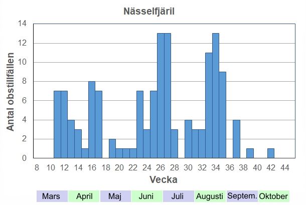 Antal observationstillfällen (inte individer) 2012-2017 fördelade på veckonummer. De första övervintrade fjärilarna visar sig så snart vårsolen värmer ordentligt. Flest, och finast, är de dock på sensommaren, när årets nya generation just kläckts.