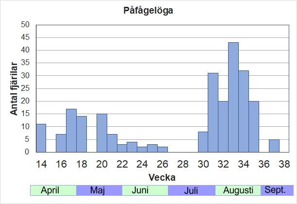 Antal individer vid inventeringar längs Listrevägen och Stormossevägen 2013-2017 fördelade på veckonummer. Övervintrande fjärilar kan ses så fort snön smält och enstaka kan finnas kvar till början av juni. Den nya generationen kläcks i juli-augusti och ses ofta i stort antal på ängsvädd och tistlar under eftersommaren.