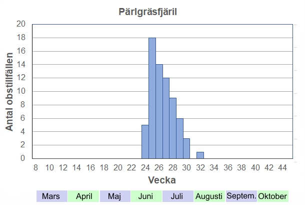 Antal observationstillfällen (inte individer) 2012-2017 fördelade på veckonummer. Strax före midsommar kommer de fram, och blir snabbt en av de vanligaste fjärilarna på gräsmarken. De försvinner nästan lika snabbt. Jag har bara sett en enda pärlgräsfjäril i augusti