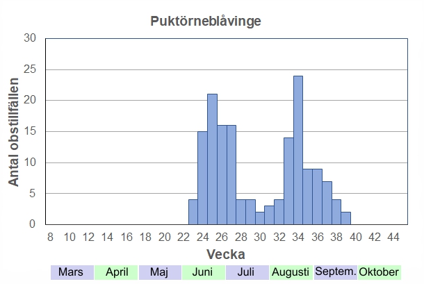 Antal observationstillfällen (inte individer) 2012-2017 fördelade på veckonummer. Första generationen börjar flyga strax före midsommar, som efter en kort paus följs av en eller två ytterligare generationer, beroende på hur vädret blir. De sista fjärilarna kan ses ända fram tills frosten slår till.