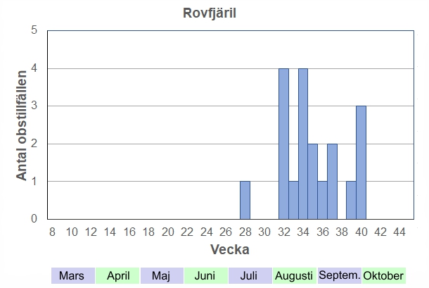 Antal observationstillfällen (inte individer) 2012-2017 fördelade på veckonummer. Man ser sällan någon fjäril i första generationen på försommaren, men eftersommarens generation är visserligen inte talrik, men ganska lätt att se enstaka fjärilar även här i skogen. Med ökad jordbruksaktivitet kan man räkna med att antalet ökar.