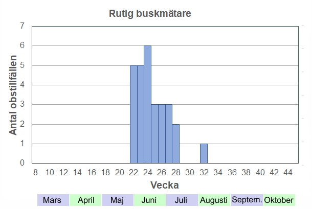 Antal observationstillfällen (inte individer) 2012-2017 fördelade på veckonummer. Flyger mest under juni och juli. Mycket vanlig och antal obstillfällen är klart underskattat