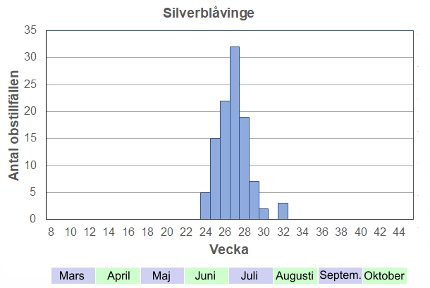 Antal observationstillfällen (inte individer) 2012-2017 fördelade på veckonummer. Flyger endast i en generation. Dyker först upp tillsammans med årets första puktörneblåvingar strax före midsommar, och är mycket vanlig under juli.