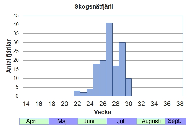 Antal individer vid inventeringar längs Listrevägen och Stormossevägen 2013-2017 fördelade på veckonummer. En ganska vanlig art här, med lång flygtid. 