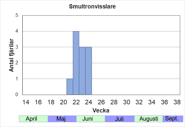 Antal individer vid inventeringar längs Listrevägen och Stormossevägen 2013-2017 fördelade på veckonummer. En försommarart, som man nästan bara ser om man letar efter den bland blommande smultron och blodrot.