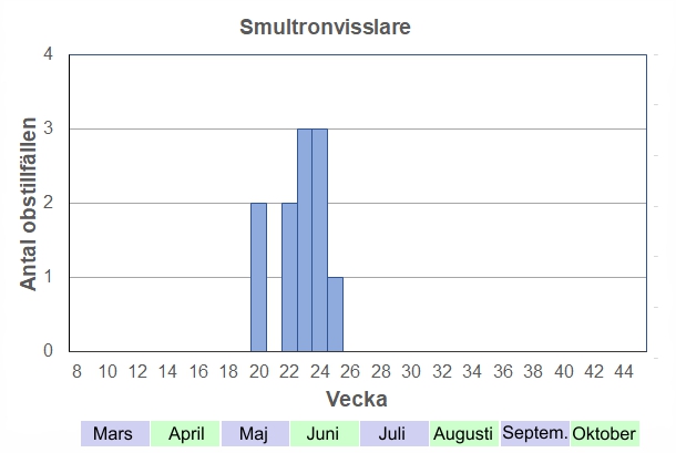 Antal observationstillfällen (inte individer) 2012-2017 fördelade på veckonummer. En försommar fjäril som flyger när smultronen blommar. 