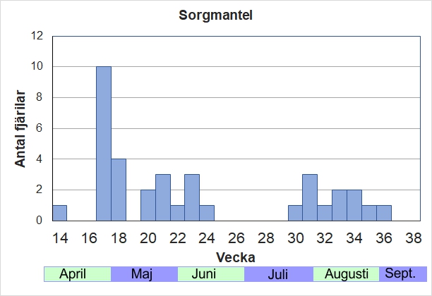 Antal individer vid inventeringar längs Listrevägen och Stormossevägen 2013-2017 fördelade på veckonummer. Eftersom den fullbildade fjärilen övervintrar ser man de första hanarna tidigt om våren. Den nya generationen kläcks i slutet av juli-aug, för att ganska snart finna sig en bra övervintringsplats.