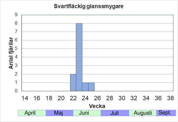 Antal individer vid inventeringar längs Listrevägen och Stormossevägen 2013-2017 fördelade på veckonummer. En senvår-försommarart, men kalla vårar förskjuts flygtiden till en bra bit in i juni.