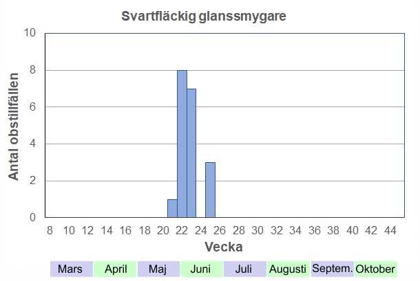 Antal observationstillfällen (inte individer) 2012-2017 fördelade på veckonummer. En försommarart som flyger under den första riktigt varma perioden. Ganska lätt att hitta om man vet var och när, men man ser dem inte i stora antal