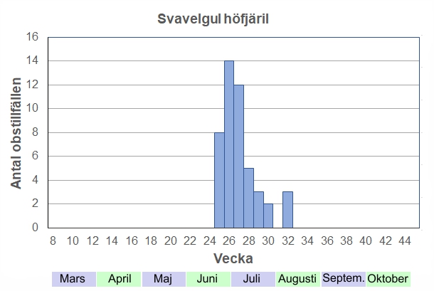 Antal observationstillfällen (inte individer) 2012-2017 fördelade på veckonummer. Flyger från sista veckan i juni till slutet av juli. Kort och intensivt. Ses sällan långt från myrmarken, men om det saknas nektarväxter nära mossen kan de flyga ganska långa sträckor i jakt på blommor.