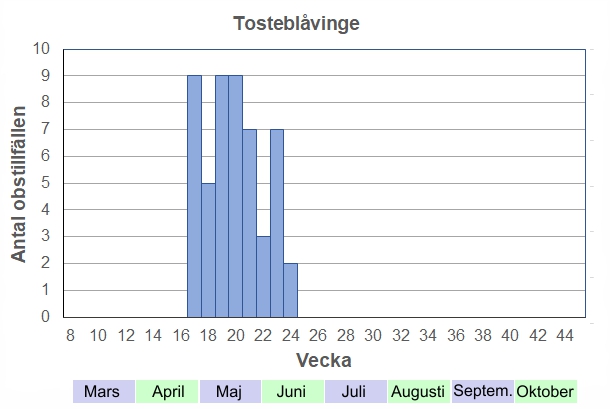 Antal observationstillfällen (inte individer) 2012-2017 fördelade på veckonummer. Enda blåvingen under vår och försommar. En av de tidigaste fjärilarna efter de som övervintrat som fjärilar.