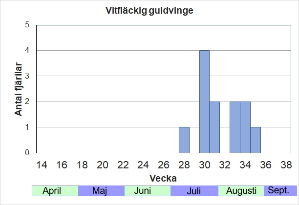 Antal individer vid inventeringar längs Listrevägen och Stormossevägen 2013-2017 fördelade på veckonummer. Aldrig särskilt vanlig här, men enstaka fjärilar dyker upp i juli-aug så gott som varje år.