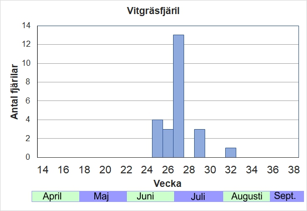 Antal individer vid inventeringar längs Listrevägen och Stormossevägen 2013-2017 fördelade på veckonummer. Ses mest strax efter midsommar, men enstaka ex kan finnas kvar länge.