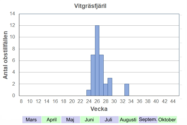 Antal observationstillfällen (inte individer) 2012-2017 fördelade på veckonummer. Flyger i juni och första halvan av juli. Oftast inte så många ex, men de är ganska stora och iögonfallande när de sitter och solar på marken.