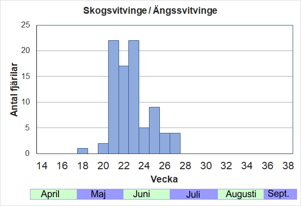 Antal individer vid inventeringar längs Listrevägen och Stormossevägen 2013-2017 fördelade på veckonummer. Flest individer i månadsskiftet maj-juni, vilket kan bero på att båda arterna då är aktiva.