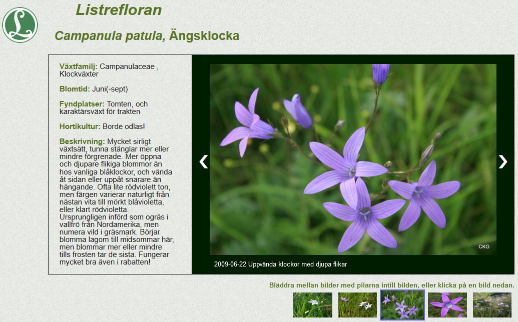 Lokal flora som webDB