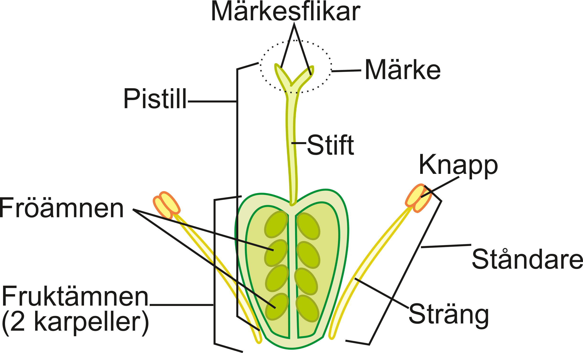 Blommans_delar